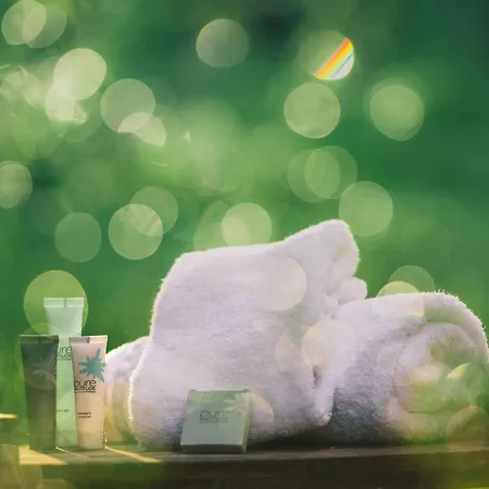 Lejlighed 1550 : Cosy 4 Pers, Animaux Ok, Acces - Fr-1-631-229